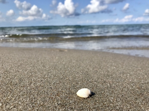 Luftaufnahme des Yachthafens in Glowe, Rügen, mit vielen Booten und klarem, blauem Wasser